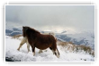 Hiver sur Gorramendi