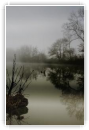 devoilée