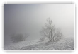 Brume matinale