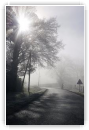 Le cycliste
