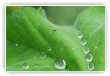 Après la pluie
