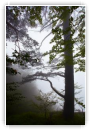 Dans les nuages