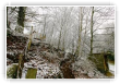 Chemins