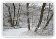 neige