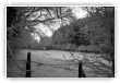 bocage enneigé