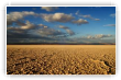 Lac salée tunisien
