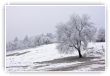Calme Blanc