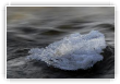 Que file l'hiver